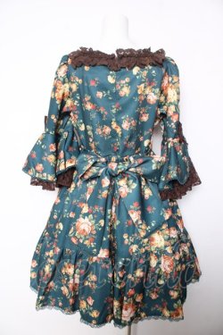 画像2: axes femme kawaii / アンティークローズ柄ワンピース M グリーン Y-26-02-05-091-AX-OP-SZ-ZY