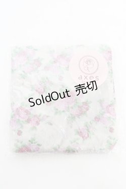 画像1: axes femme / トラベルオーガナイザー   Y-26-02-05-022-AX-ZA-SZ-ZY