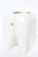 画像1: Q-pot. / TOOTH型　歯ブラシスタンド  ホワイト Y-26-02-13-025-QP-ZA-SZ-ZY (1)
