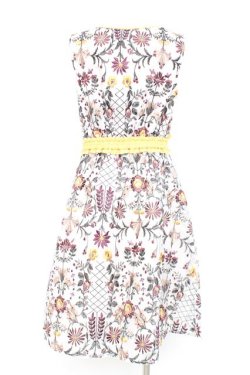 画像2: axes femme NOSTALGIE / 総刺繍オーガンジーワンピース M キナリ Y-26-02-17-081-AX-OP-SZ-ZY