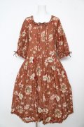 PINK HOUSE / ローズじゃむびんプリントミディワンピース F ブラウン Y-26-02-17-210-LO-OP-SZ-ZY