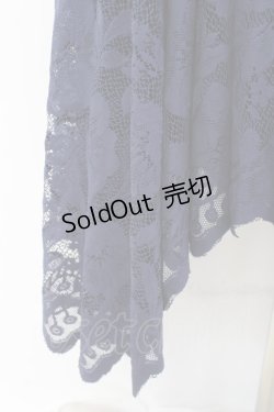 画像3: axes femme / レースサーキュラースカート F 紺 Y-26-02-19-192-AX-SK-SZ-ZY