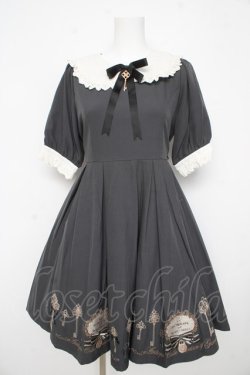 画像1: Amavel / ひみつの屋根裏への鍵ワンピース F グレー Y-26-02-21-147-CA-OP-SZ-ZY