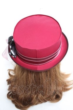 画像4: Coco&Ami / LOOK UP！(猫)  ワイン Y-26-02-23-025-LO-AC-SZ-ZY