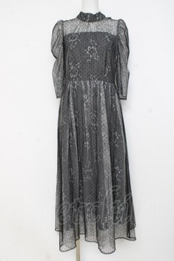 画像1: axes femme / ドットチュールxレースドレス F 黒 Y-26-02-27-126-AX-OP-SZ-ZY