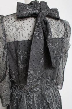 画像3: axes femme / ドットチュールxレースドレス F 黒 Y-26-02-27-126-AX-OP-SZ-ZY