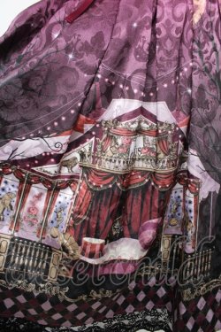 画像3: axes femme kawaii / シルクノクターンスカート M ワイン Y-26-03-06-231-AX-SK-SZ-ZY