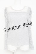 axes femme POETIQUE / 総刺繍レース切替トップス  グレー Y-26-03-09-042-AX-TO-SZ-ZY