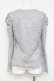 画像2: axes femme POETIQUE / 総刺繍レース切替トップス  グレー Y-26-03-09-042-AX-TO-SZ-ZY (2)