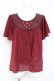 画像1: axes femme / フロントレース半袖シフォントップス  ワイン Y-26-03-09-077-AX-TO-SZ-ZY (1)