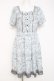 画像1: axes femme / アンティーク柄ワンピース M サックス Y-26-03-09-217-AX-OP-SZ-ZY (1)
