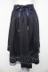 画像2: axes femme / 【my axes】スカート  紺 Y-26-03-11-118-AX-SK-SZ-ZY (2)