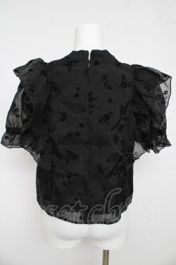 画像2: evelyn / フロッキーリボンブラウス F 黒 Y-26-03-13-052-LO-BL-SZ-ZY