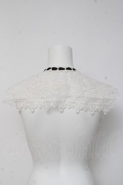 画像3: axes femme POETIQUE / ローズレースつけ襟  白 Y-26-03-16-027-AX-ZA-SZ-ZY