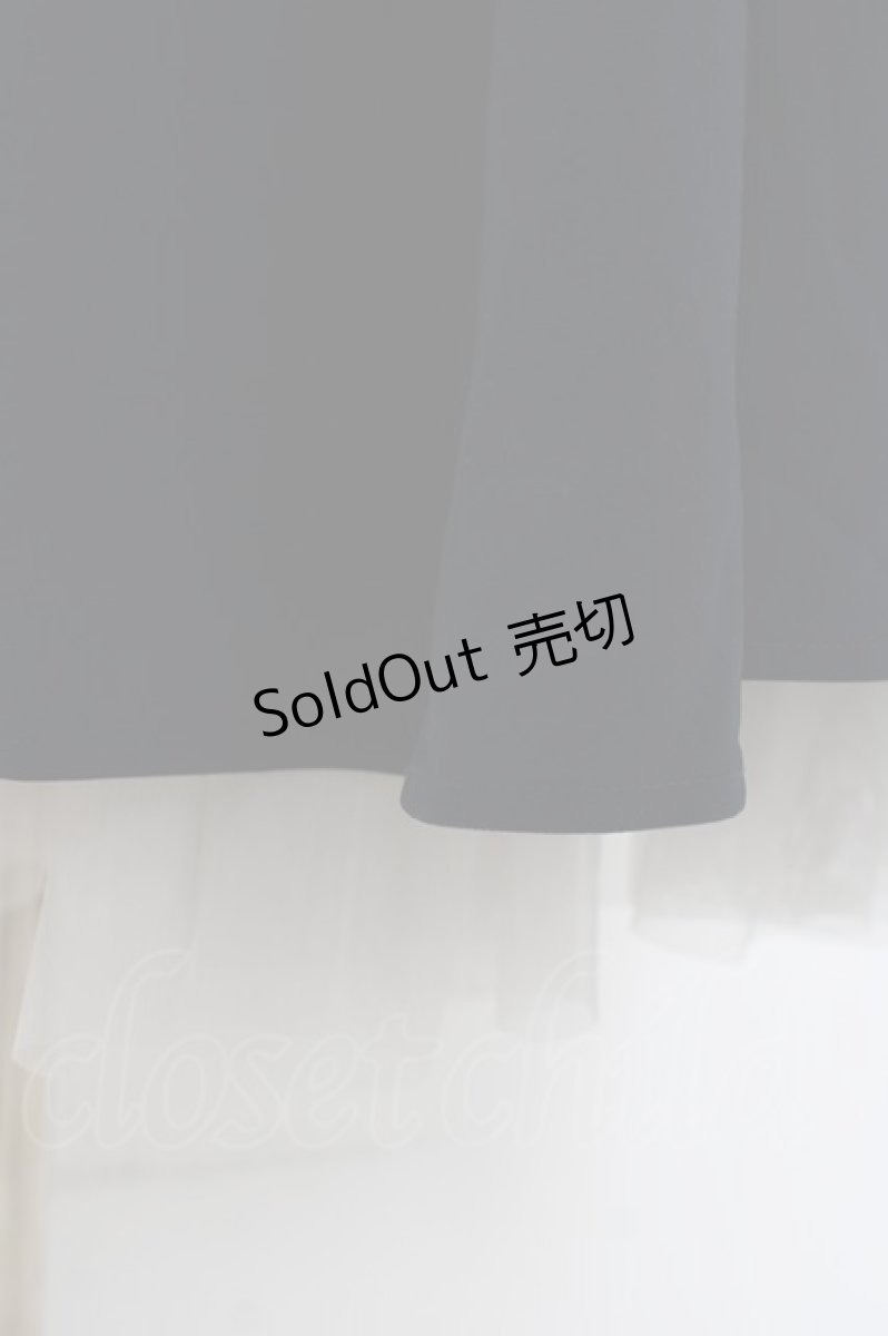 画像4: an another angelus / パニエサーキュラースカート F ネイビー Y-26-03-16-217-CA-SK-SZ-ZY (4)