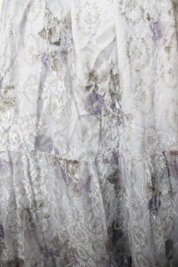 画像3: axes femme / sajouプリントレーススカート M サックス Y-26-03-18-188-AX-SK-SZ-ZY