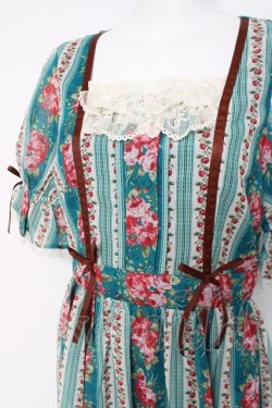 画像3: axes femme / カントリーローズワンピース F Bグリーン Y-26-03-26-069-AX-OP-SZ-ZY