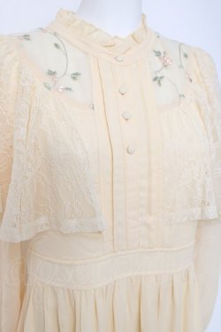 画像3: axes femme / 刺繍チュール使ケープワンピース F イエロー Y-26-03-26-070-AX-OP-SZ-ZY