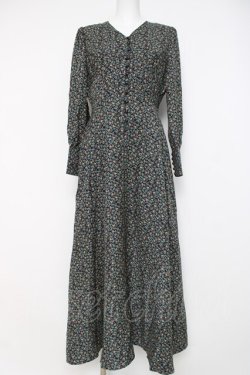 画像1: an another angelus / コルセット切替小花柄ロングワンピース F ネイビー Y-26-03-26-076-CA-OP-SZ-ZY