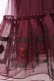 画像3: axes femme / 額縁刺繍チュールスカート F ワイン Y-26-03-26-085-AX-SK-SZ-ZY (3)