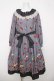 画像1: Melody BasKet / Royal Berry フロントボタンワンピース M グレー Y-26-04-01-181-LO-OP-SZ-ZY (1)