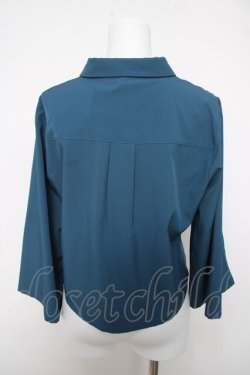 画像2: axes femme / ジャスミン刺繍チャイナブラウス  グリーン Y-26-04-03-059-AX-BL-SZ-ZY