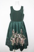axes femme NOSTALGIE / 薔薇パネル柄ジャンスカ  グリーン Y-26-04-03-100-AX-OP-SZ-ZY