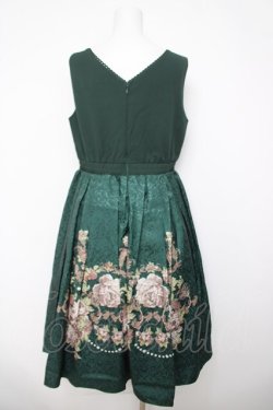 画像2: axes femme NOSTALGIE / 薔薇パネル柄ジャンスカ  グリーン Y-26-04-03-100-AX-OP-SZ-ZY