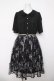 画像1: axes femme / フラワーレース切り替えワンピース  黒 Y-26-04-03-108-AX-OP-SZ-ZY (1)