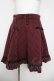 画像1: Secret Honey / レースチュールスカート  ワイン Y-26-04-11-095-CA-SK-SZ-ZY (1)