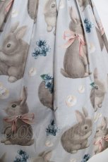 画像3: Leur Getter / Little Rabbit キャミワンピース M ミント Y-26-04-13-098-LU-OP-SZ-ZY (3)