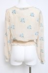 画像2: an another angelus / バラ刺繍シースルーブラウス  生成り Y-26-04-15-049-CA-BL-SZ-ZY (2)