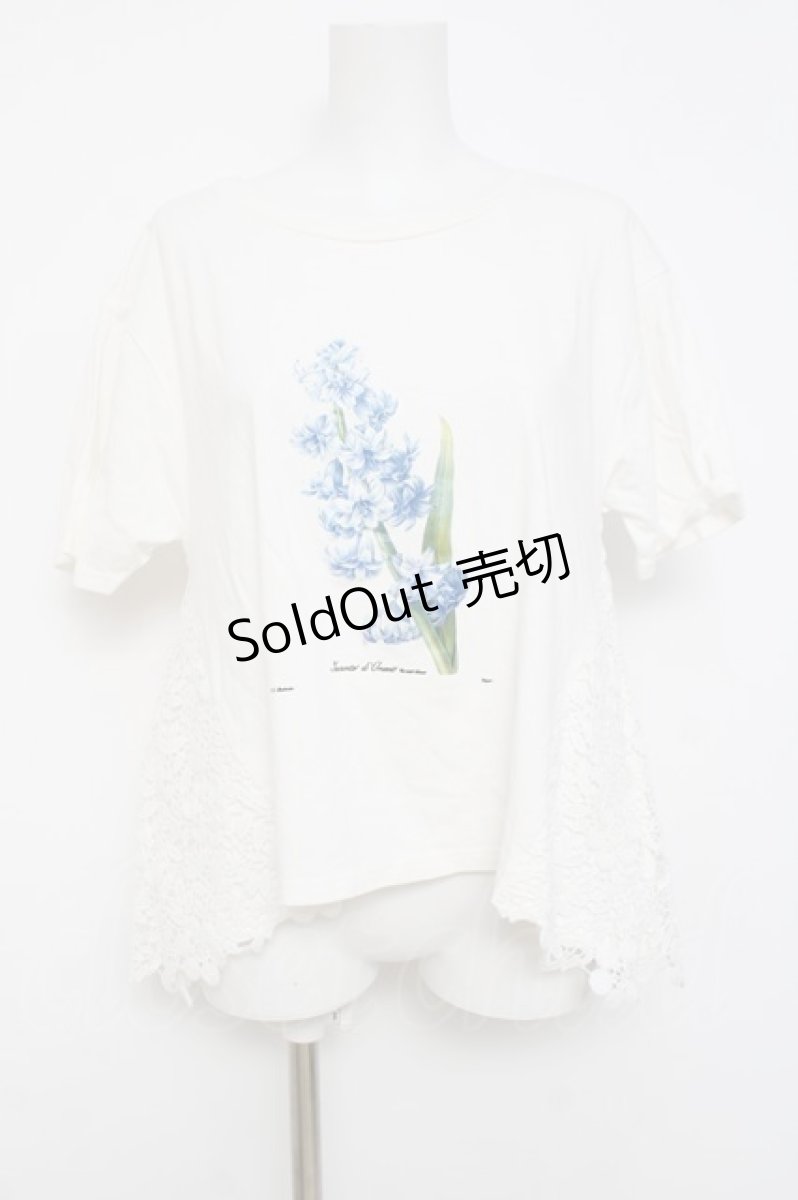 画像1: axes femme / ボタニカルガーデンTシャツ M シロ Y-26-04-17-096-AX-TO-SZ-ZY (1)