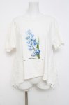 画像1: axes femme / ボタニカルガーデンTシャツ M シロ Y-26-04-17-096-AX-TO-SZ-ZY (1)
