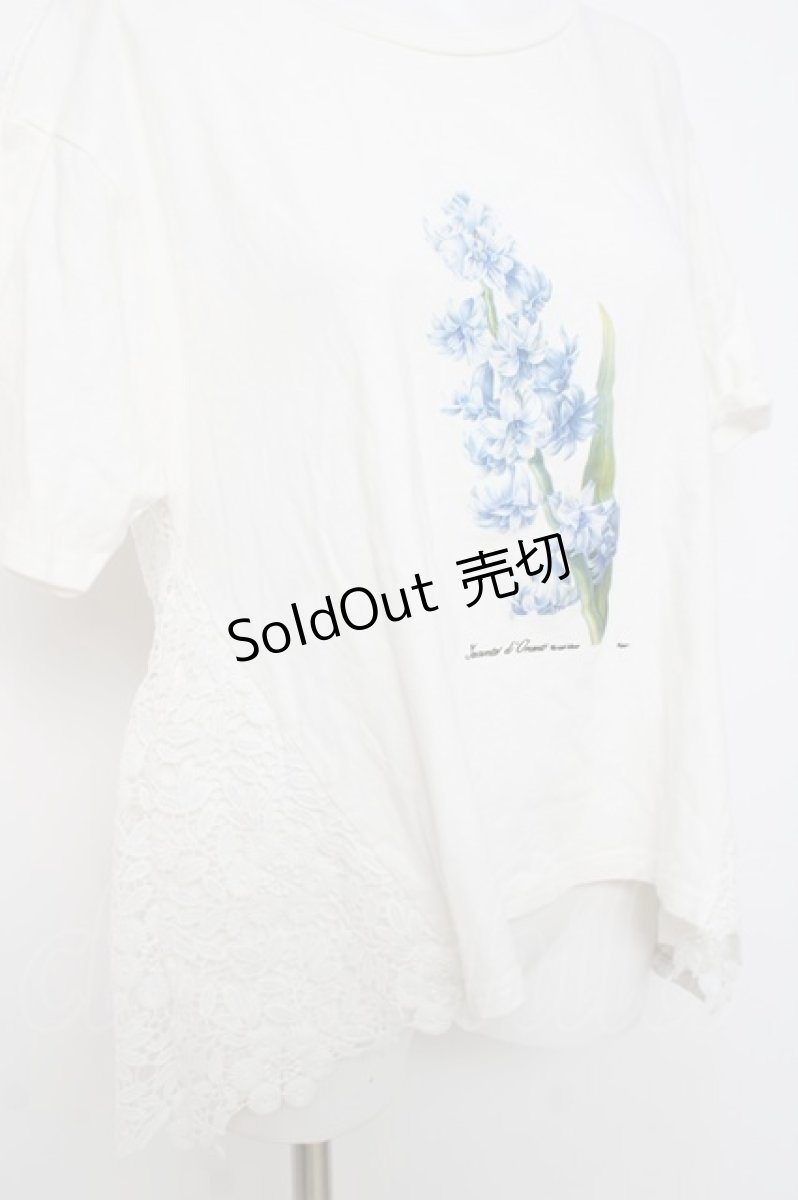 画像3: axes femme / ボタニカルガーデンTシャツ M シロ Y-26-04-17-096-AX-TO-SZ-ZY (3)