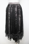 画像2: axes femme / レースサーキュラーミディスカート  黒 Y-26-04-21-160-AX-SK-SZ-ZY (2)