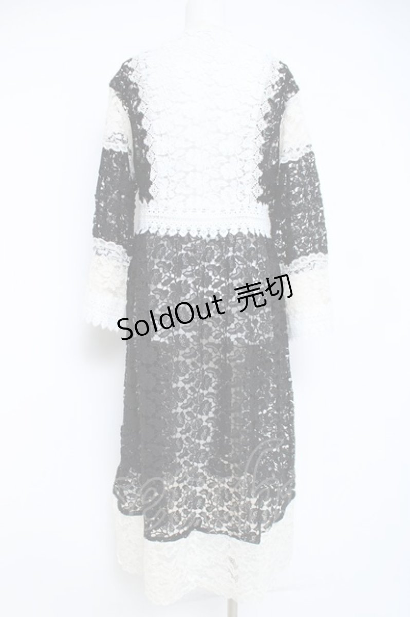 画像2: axes femme NOSTALGIE / 配色使い総レースガウン F 黒 Y-26-05-26-113-AX-TO-SZ-ZY (2)