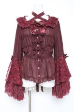 画像1: metamorphose / 【プラスサイズ】追憶の姫君ブラウス  ボルドー Y-26-06-13-031-ME-BL-SA-ZY (1)