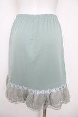画像2: axes femme / オーガンジープチローズペチコート  ミント Y-26-06-30-163-AX-SK-SZ-ZY (2)