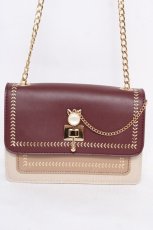 画像1: Belchic / 刺繍チェーンショルダーバック  ワイン×ベージュ Y-26-07-27-030-LO-BG-SZ-ZY (1)