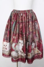 画像1: Enchantlic Enchantilly / Queen Cat〜秘密の書斎〜スカート  赤 Y-26-08-07-194-LO-SK-SZ-ZY (1)