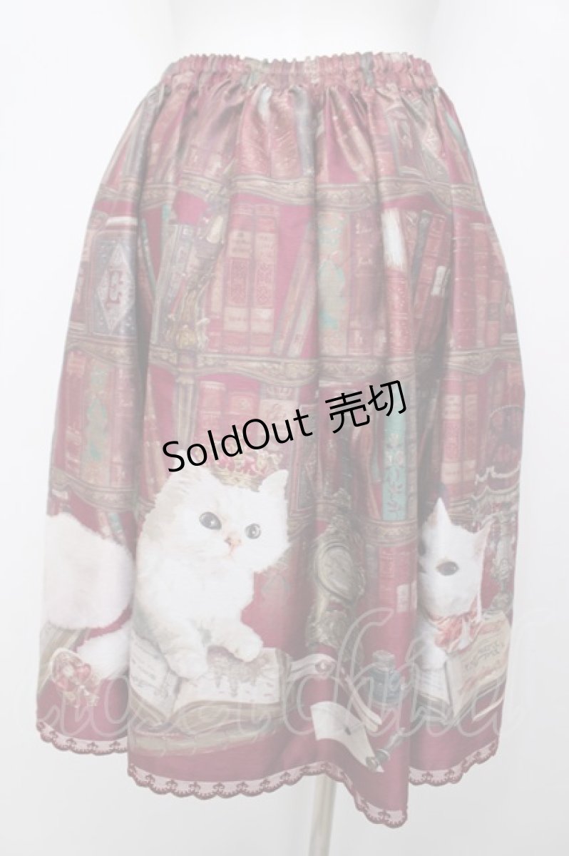 画像2: Enchantlic Enchantilly / Queen Cat〜秘密の書斎〜スカート  赤 Y-26-08-07-194-LO-SK-SZ-ZY (2)