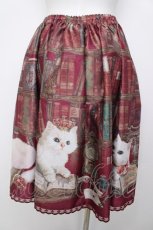 画像2: Enchantlic Enchantilly / Queen Cat〜秘密の書斎〜スカート  赤 Y-26-08-07-194-LO-SK-SZ-ZY (2)