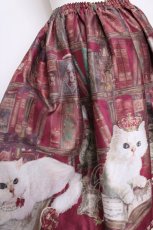 画像3: Enchantlic Enchantilly / Queen Cat〜秘密の書斎〜スカート  赤 Y-26-08-07-194-LO-SK-SZ-ZY (3)