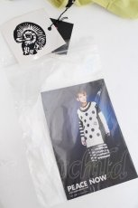 画像4: PEACE NOW / ドットカットソー  ミント Y-26-08-20-130-PU-TO-SZ-ZS (4)