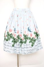 画像1: Leur Getter / Rose Gardenスカート  サックス Y-26-09-26-033-LU-SK-SZ-ZY (1)