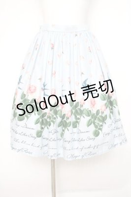 Preview of Rose Gardenスカート  サックス