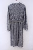 画像3: Fi.n.t / 総レース丸襟ワンピース  グレー O-26-01-30-1021-CA-OP-OW-OS (3)