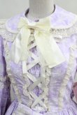 画像3: metamorphose  / Romantic Damask 姫袖ワンピース H-23-02-10-1012h-1-OP-ME-L-SK-ZH-R (3)