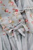 画像5: Angelic Pretty  / Petit Bouquetジャンパースカート H-23-03-08-037h-1-OP-AP-L-NS-ZH-R (5)